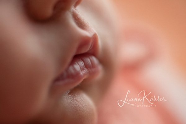 Hannover_LianeKöhler_Newborn_095