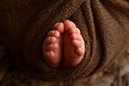 Hannover_LianeKöhler_Newborn_092